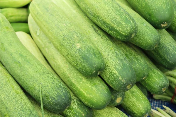 Verse komkommers voor het koken op de markt Rechtenvrije Stockfoto's