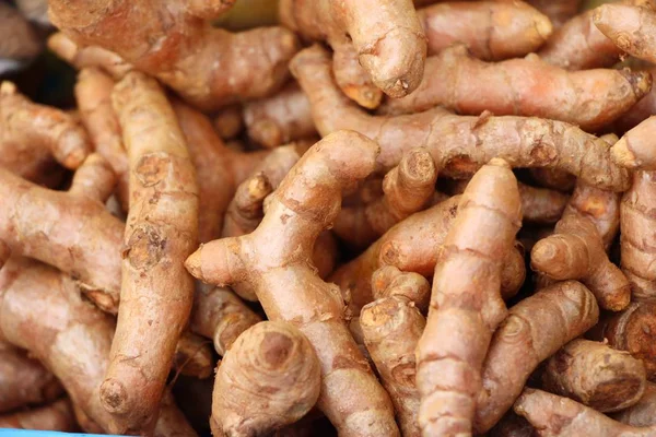 Fresh turmeric root is herb for health Stock Image