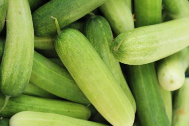 Belgili tanımlık çarşı içinde yemek pişirmek için taze salatalık