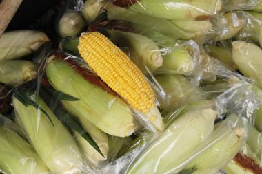 Mısır Mısır koçanı sokak gıda lezzetlidir