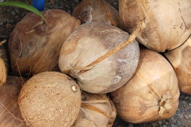 Hindistan cevizi meyve sokak gıda lezzetlidir