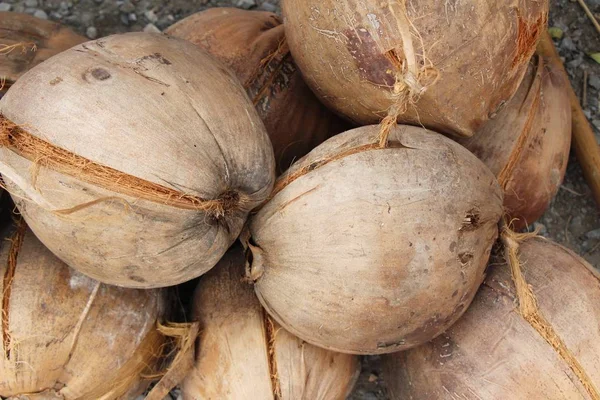 Fruta de coco é delicioso na comida de rua — Fotografia de Stock