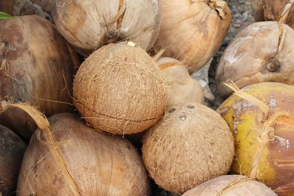 Fruta de coco é delicioso na comida de rua — Fotografia de Stock