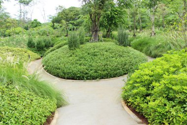 Bahar bakış Bahçe İngiltere'de güzeldir