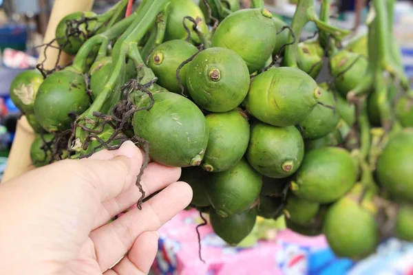 Betel palm z naturą przy ulicy żywności — Zdjęcie stockowe