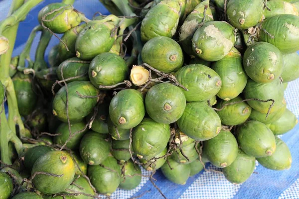 Betel palm op boom met de natuur — Stockfoto