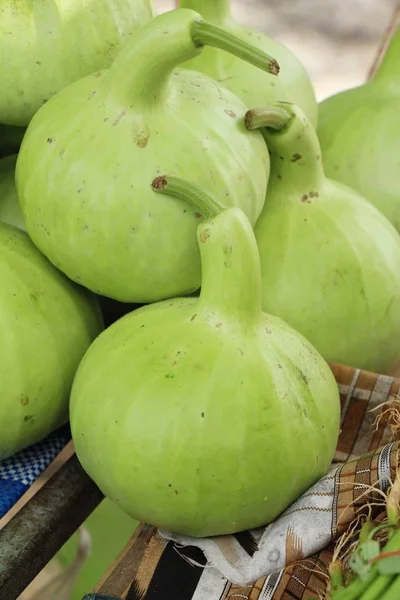 Verse kalebas voor het koken op straat — Stockfoto