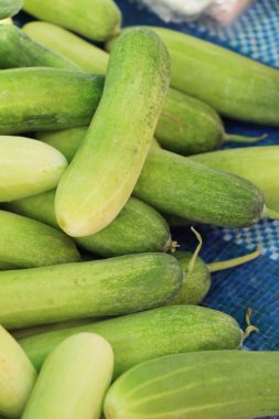 Belgili tanımlık çarşı içinde yemek pişirmek için taze salatalık