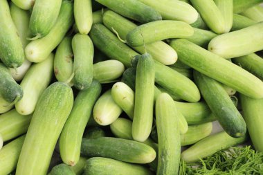 Belgili tanımlık çarşı içinde yemek pişirmek için taze salatalık