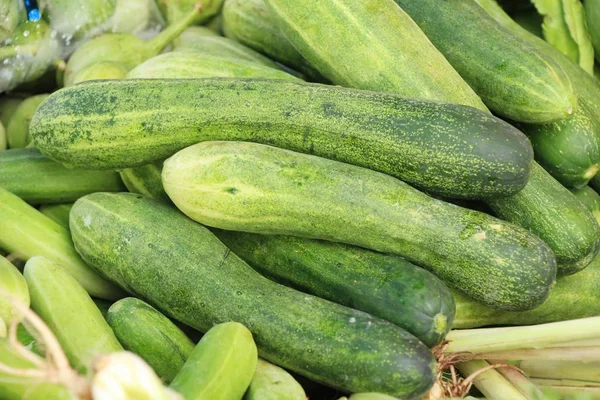 Fresh cucumbers for cooking in the market — Stock Photo, Image