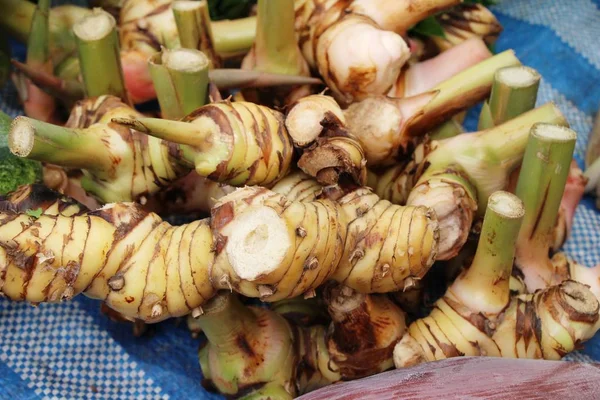 Färsk galangal för matlagning på marknaden — Stockfoto