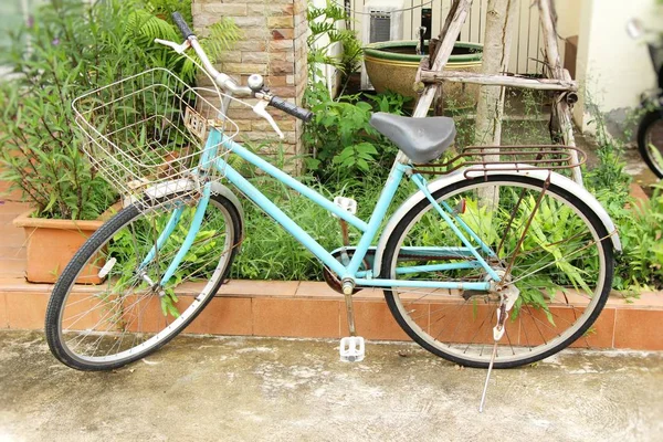 Vecchia bicicletta stile vintage con la natura — Foto Stock
