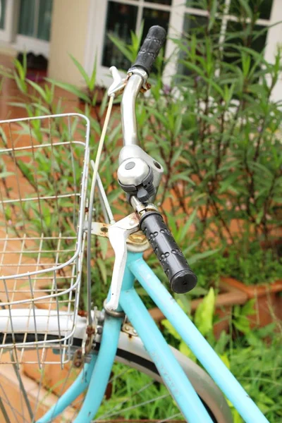 Antiguo estilo vintage de bicicleta con la naturaleza — Foto de Stock