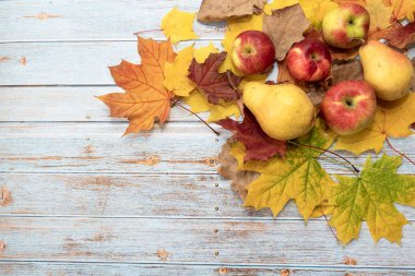 Mavi ahşap masada armutlar, elmalar ve renkli akçaağaç yaprakları. Sonbahar hasat konsepti. Boşluğu Kopyala