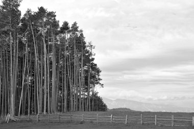 Nova Ponente özerk ili Bolzano Trentino Alto Adige İtalya