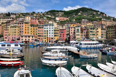 İtalya 'nın Camogli limanının panoraması