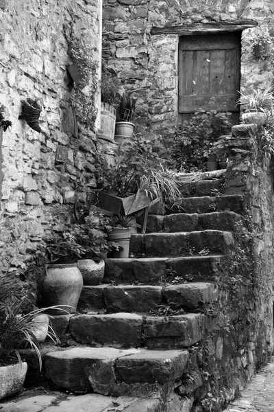 Meruňková Středověká Vesnice Provincii Imperia Itálie — Stock fotografie