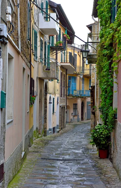 historic houses in the village of Perinaldo Italy