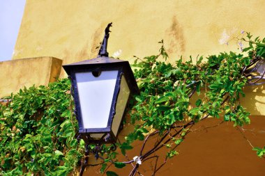 İtalya 'nın Imperia eyaletindeki Cervo Ligurian köyüne bir göz atalım.