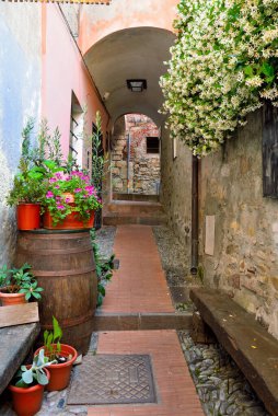 İtalya 'nın Imperia eyaletindeki Cervo Ligurian köyüne bir göz atalım.