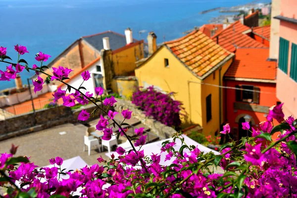 Vislumbre Cervo Pueblo Liguria Provincia Imperia Italia — Foto de Stock