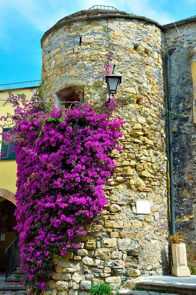 Pohled Cervo Ligurian Vesnice Provincii Imperia Itálie — Stock fotografie