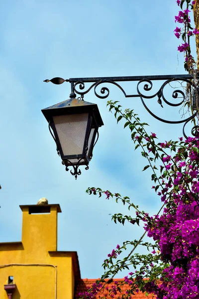 Vislumbre Cervo Pueblo Liguria Provincia Imperia Italia — Foto de Stock