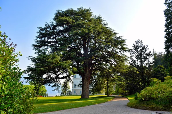 Tuin Park Bellagio Italië — Stockfoto