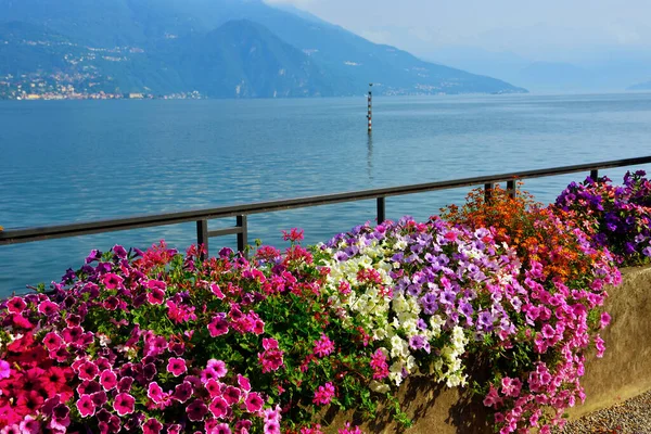 Ferry Vela Lago Como Julho 2020 Bellagio Itália — Fotografia de Stock