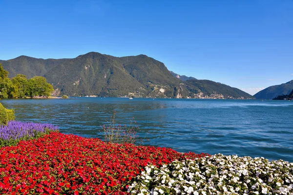 Parque Ciani Panorama Del Lago Lugano Suiza — Foto de Stock