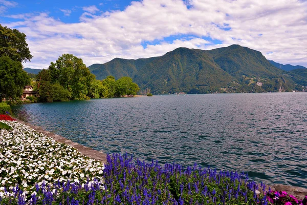 Park Ciani Panorama Jeziora Lugano Szwajcaria — Zdjęcie stockowe