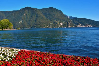 Ciani Parkı ve Lugano Gölü 'nün manzarası İsviçre