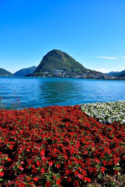 Ciani Parkı ve Lugano Gölü 'nün manzarası İsviçre