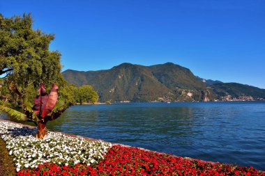 Ciani Parkı ve Lugano Gölü 'nün manzarası İsviçre