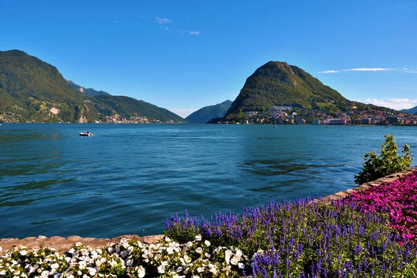 瑞士卢加诺湖的Ciani公园和全景 — 图库照片