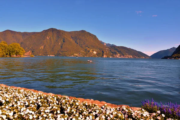 Parque Ciani Panorama Del Lago Lugano Suiza — Foto de Stock