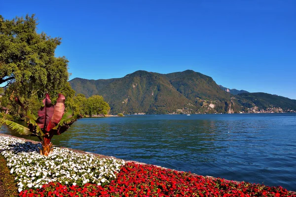 Ciani Park Panorama Van Het Meer Van Lugano Zwitserland — Stockfoto