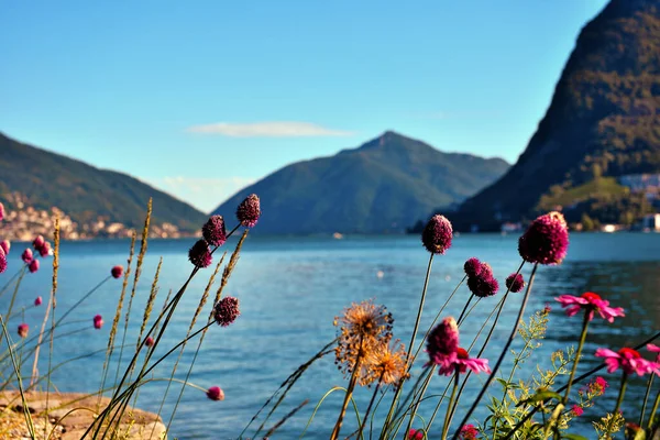 Panorama Lago Lugano Suíço — Fotografia de Stock