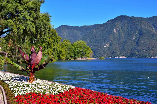 Panorama Lago Lugano Suíço — Fotografia de Stock