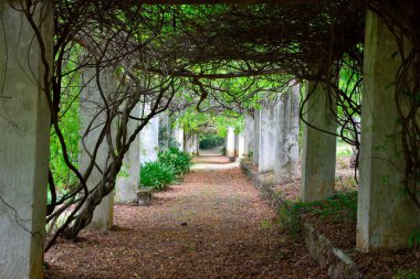 Piccolo Capo d 'Orlando Sicilya' daki Botanik Bahçesi