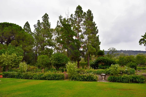 Botanická Zahrada Vily Piccolo Capo Orlando Sicílie — Stock fotografie