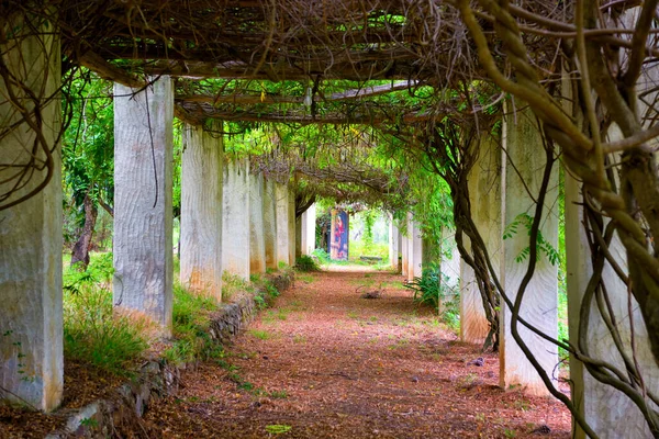 Botanischer Garten Der Villa Piccolo Capo Orlando Sizilien Italien — Stockfoto
