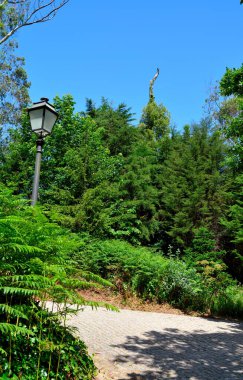 Pena Parkı, Pena Ulusal Sarayı 'nda yemyeşil bir bahçe, Sintra, Lizbon, Portekiz