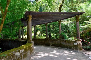 Pena Parkı, Pena Ulusal Sarayı 'nda yemyeşil bir bahçe, Sintra, Lizbon, Portekiz
