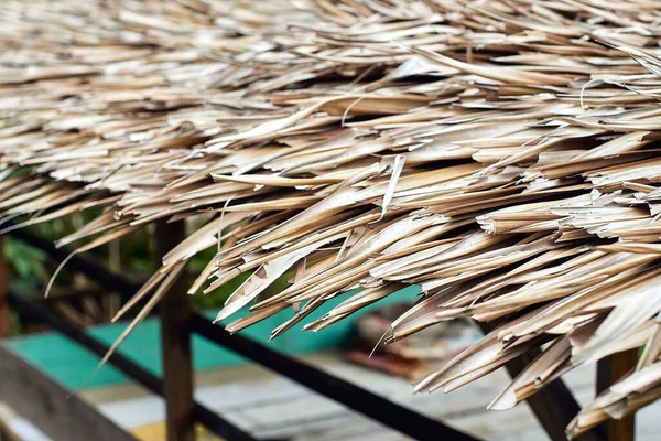 Rieten dak van gedroogde palmbladeren — Stockfoto
