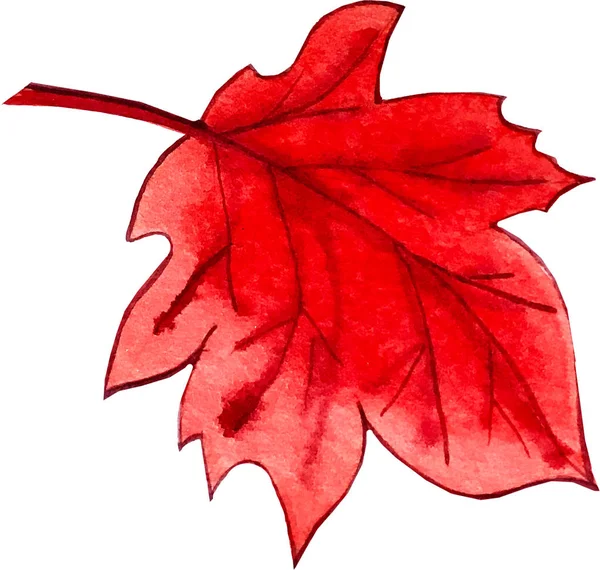 Ilustracją akwareli. liść czerwonego klonu — Zdjęcie stockowe