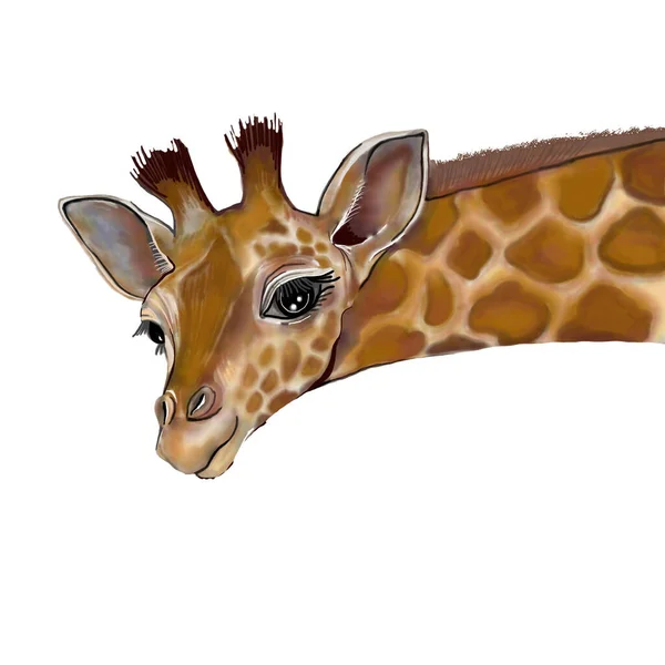 Illustration. Giraffenkopf und Hals. Tiere — Stockfoto