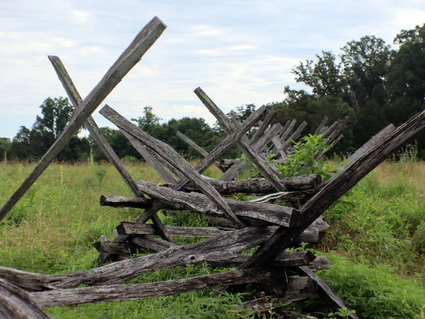 Aşırı büyüme ile eski bir günlük çit