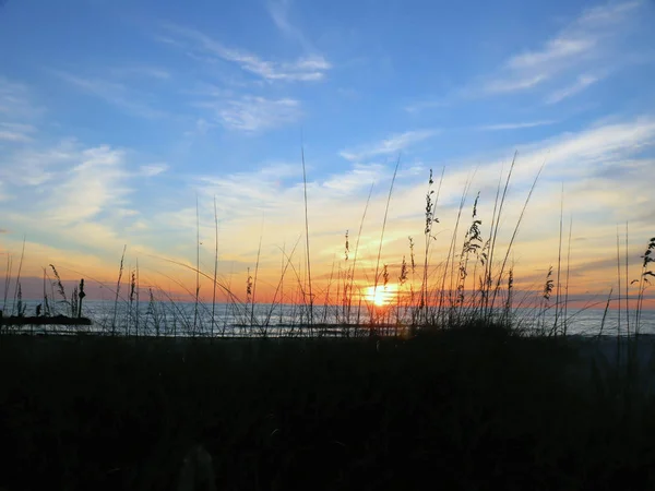 Seagrass'ı aracılığıyla Meksika Körfezi üzerinden bir gün batımı ile ilgilenen
