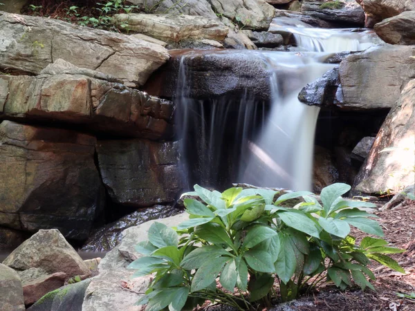 Küçük bir dere ön planda bir bitki ile zaman içinde donmuş bir şelale